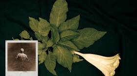 Onajide Shabaka, He bathed in the river's floral scent, 2020, Archival ink photographic print (edition of 5), 13.25 x 20 in.