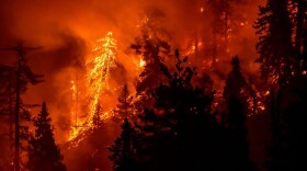 The Bobcat Fire burning in Los Angeles County, California, on Sept. 17, 2020. (Kyle Grillot/AFP/Getty Images)