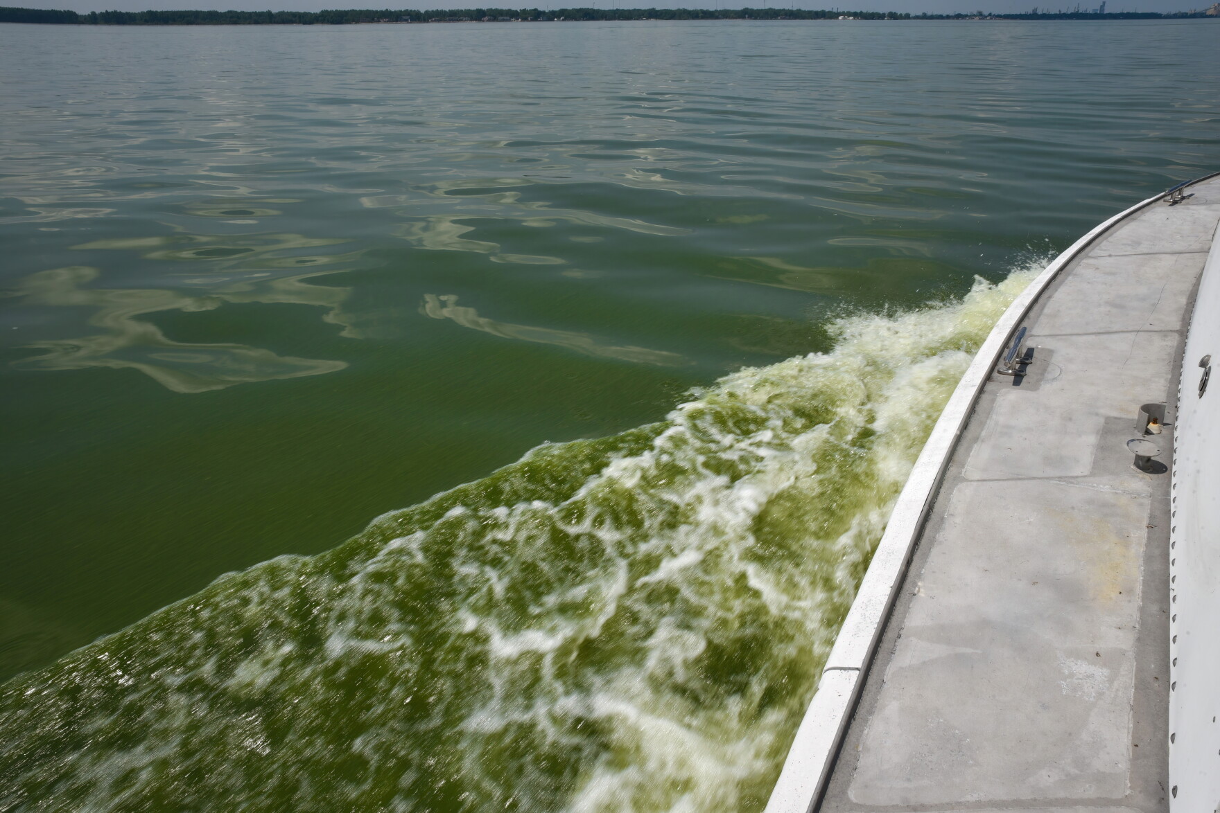 Can Michigan reduce phosphorus pollution getting into Lake Erie by 40 ...