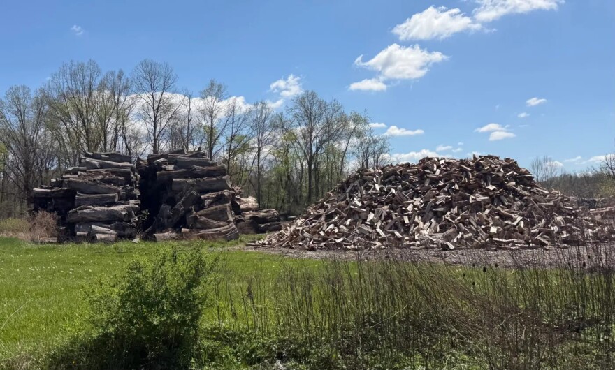 Trees cut down for well pads, pipelines and other oil and gas development are piled up near Tappan Lake.