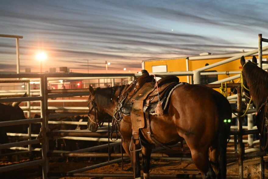 The Otero County Fair brought a capacity crowd to the rodeo over the weekend.