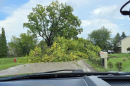 Fallen trees completely block a road near Howell following Thursday’s severe storms. Residents used a backhoe and chainsaws to begin clearing the debris.