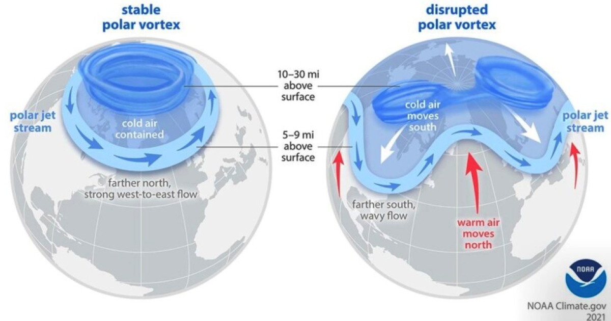 The science behind the "Polar Vortex"