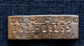 A band found by Chris Unsworth from the body of a Black-bellied Plover that was previously tagged by scientists.