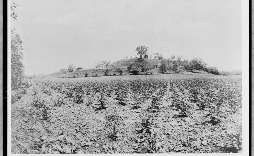 A photo of Monks Mound from 1907.