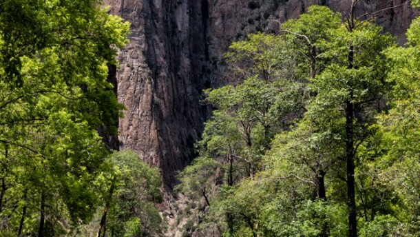 Middle Fork of Gila River, Gila Wilderness
