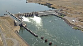 Washington Gov. Jay Inslee said a report on the four controversial dams on the Lower Snake River should come out this summer.