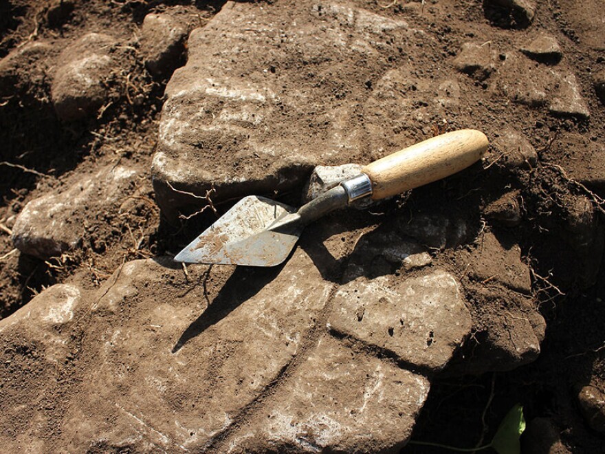 Archaeology trowel