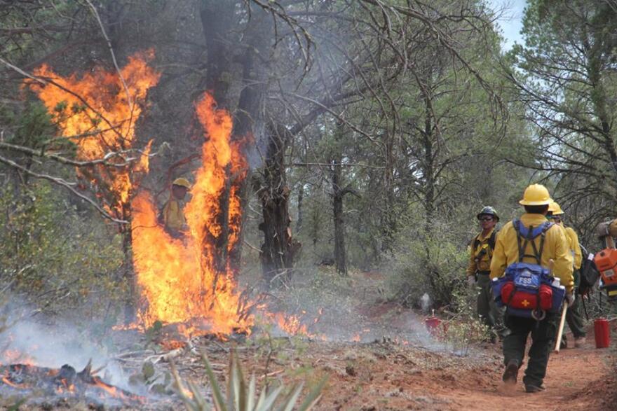 Cedar Fire Information Facebook Page