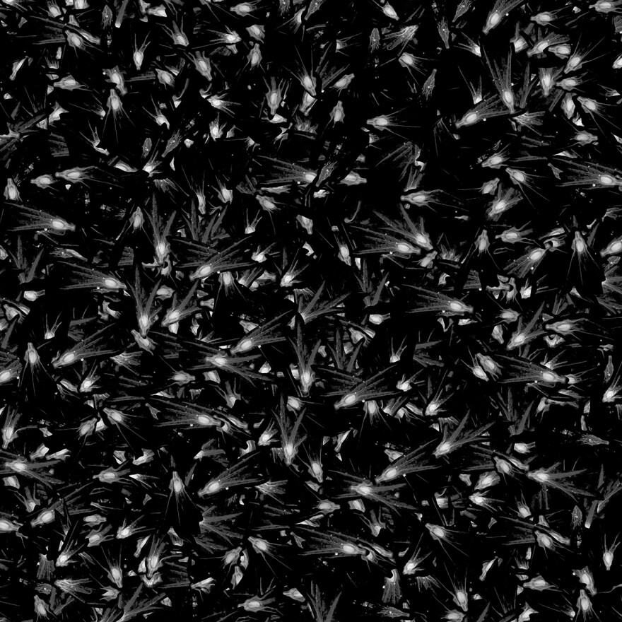 Finite (detail), 2014, archival pigment print. Courtesy of the artist, Moody Gallery, Houston; and Holly Johnson Gallery, Dallas, Texas.