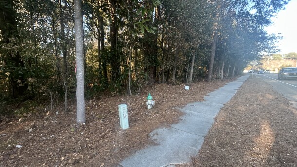 Street-facing side of the forested property on Greenville Loop Road.