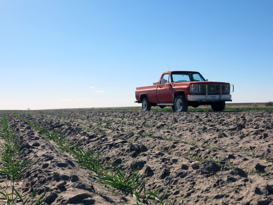 A Colorado farm field