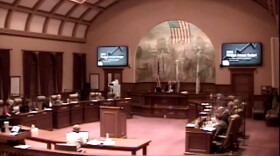 The Peoria City Council heard an initial presentation on the revised 2021 budget proposal during a special meeting Tuesday.