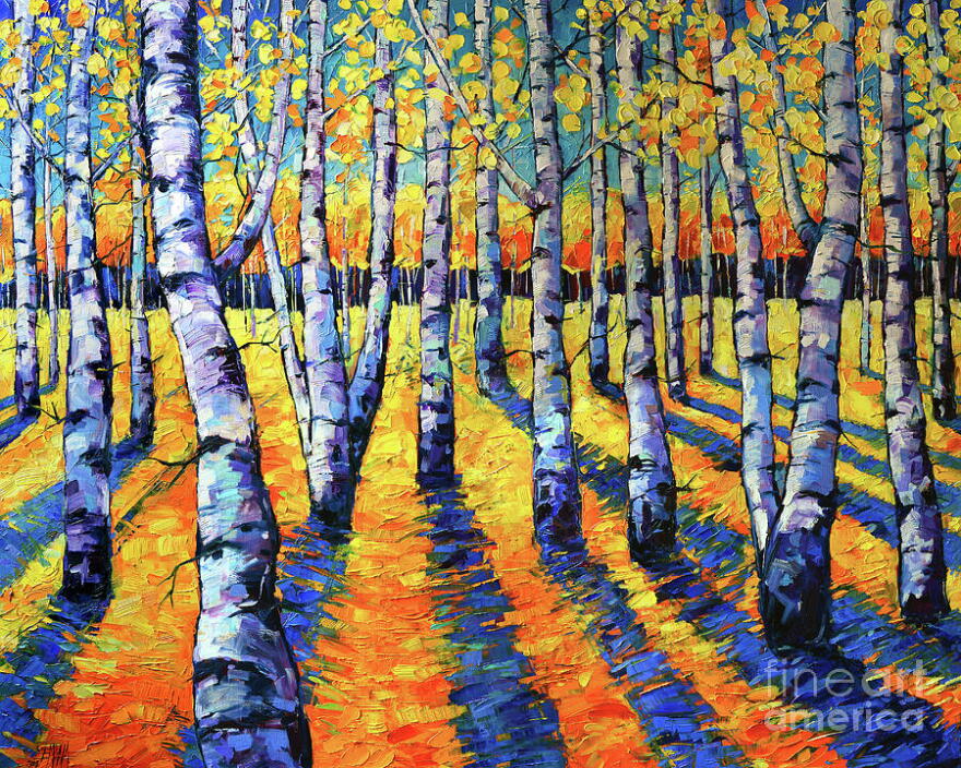 A forest of aspen trees with golden leaves  representing the shift to autumn.