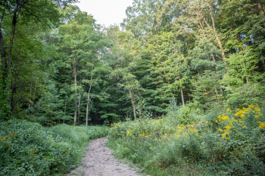 Cascade Peace Park Trail.