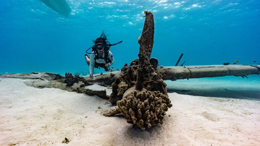 Scientists are still learning about life well below the ocean's surface