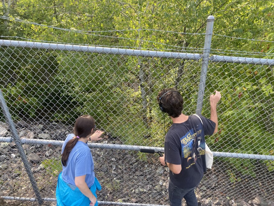 Emily Schwiebert and Max Howard looking into the King Philip Mine in Winona. (credit: David Exelby)