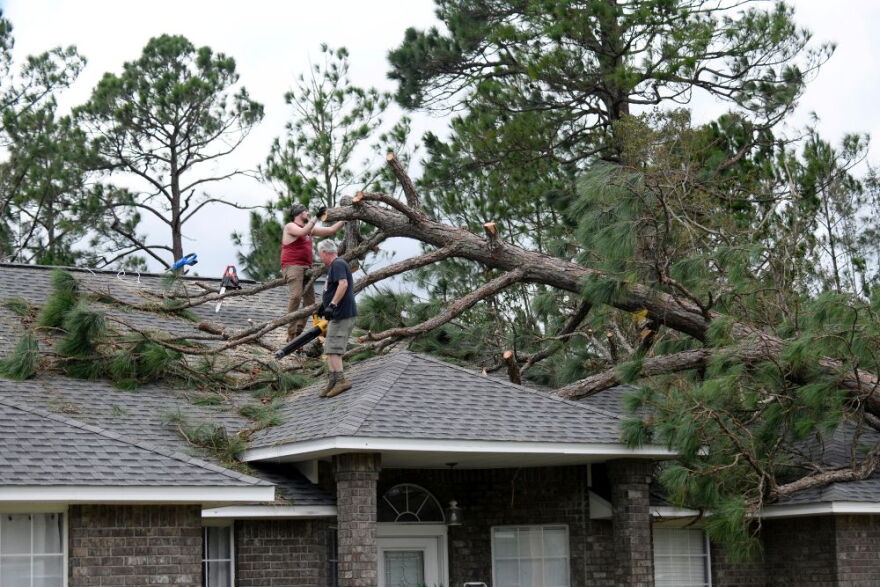 Men on a roof work to clean up pine tree that fell on a house
