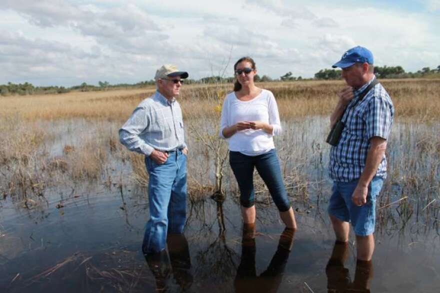 Rancher Lefty Durando (left), Julie Morris and Paul Gray worry this swamp soon could be strip malls. Photo by Amy Green 