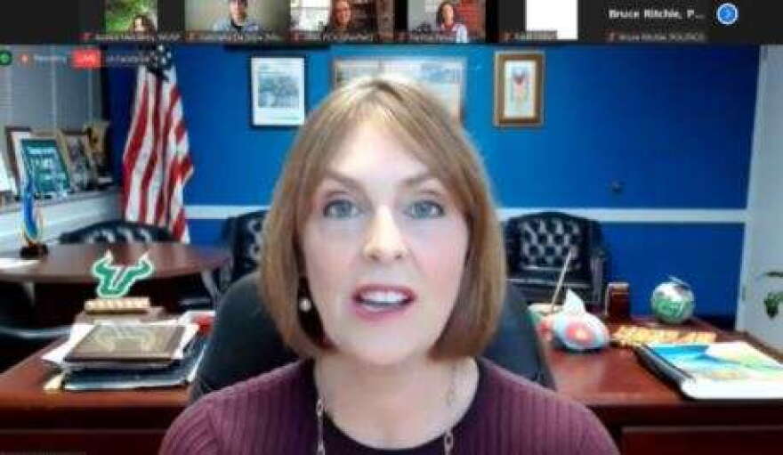 Rep. Kathy Castor, D-Tampa, speaking at a virtual press conference Tuesday morning on environmental justice issues in Florida. (Zoom Screenshot/WUSF)