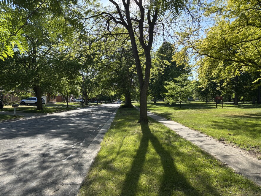 Trees provide shade on E. Sugnet Rd. near Hillgrove Park in the city of Midland on June 2, 2026.