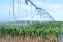 A center pivot sprinkler pumping water on crops in southwest Kansas.