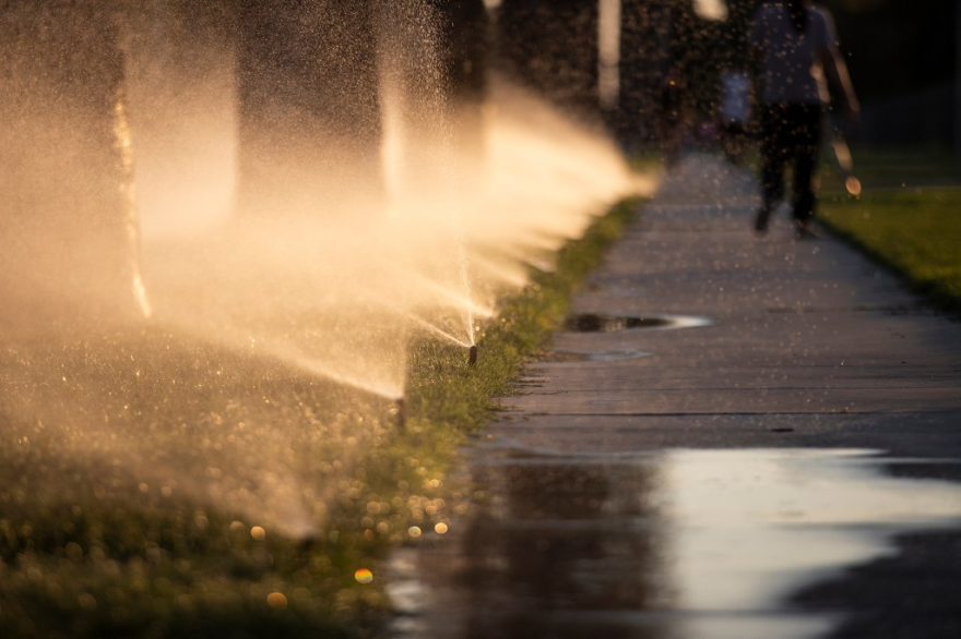 Sprinklers water a patch of grass near a sidewalk in Fresno on July 16, 2024.