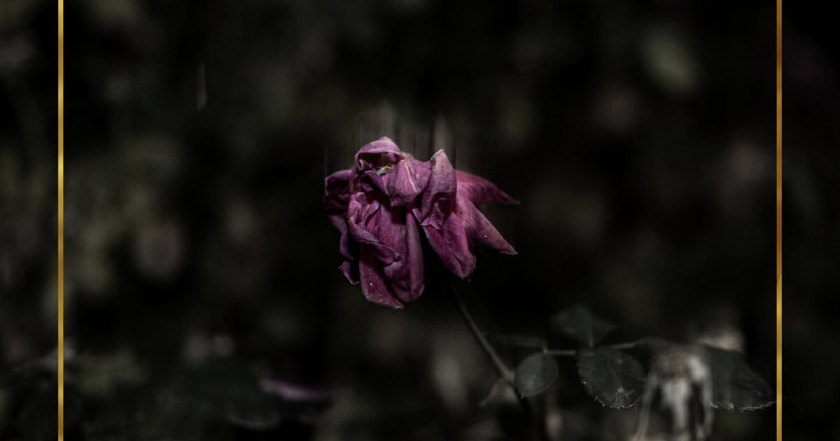 Don't Call It Jazz: Chrysalis