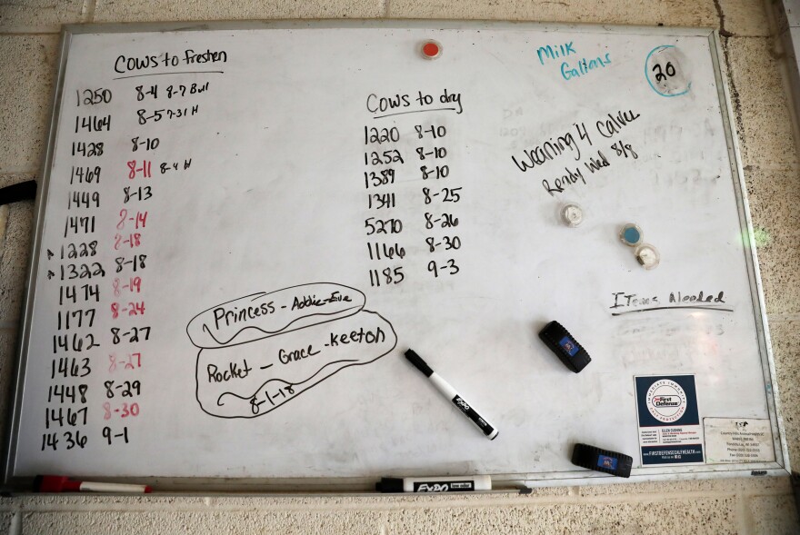 A board near the barn lists the cow tag numbers along with information concerning the dates they are ready to "freshen" or "dry."