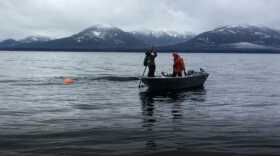 Two peopl on a small skiff help untangle a whale