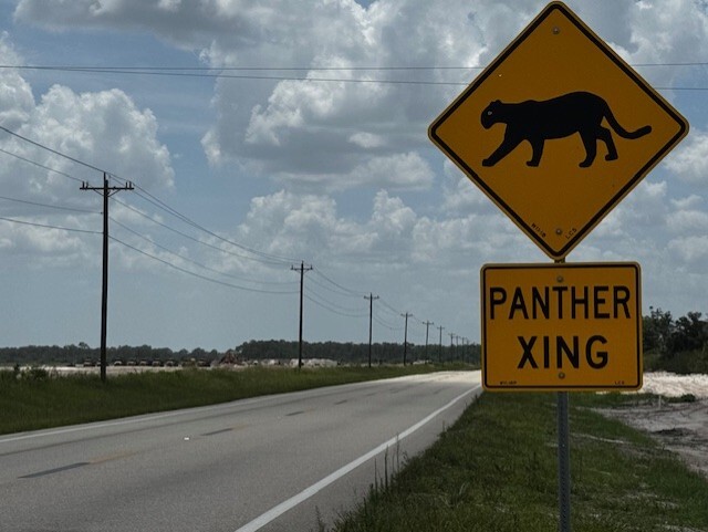 Panther crossing signage along Corkscrew Road in eastern Lee County near the Kingston development.