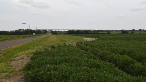 Agricultural land to the west of the Kanza Fire Commerce Park on 77th Street southwest of Topeka is the proposed location of a 10-building distribution center to be built by Compass Datacenters. To the east are the Walmart Distribution Center and the Mars manufacturing plant.