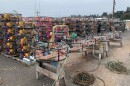 Work areas at the Port of Newport are filled with crab pots being prepared for the 2025-26 season.