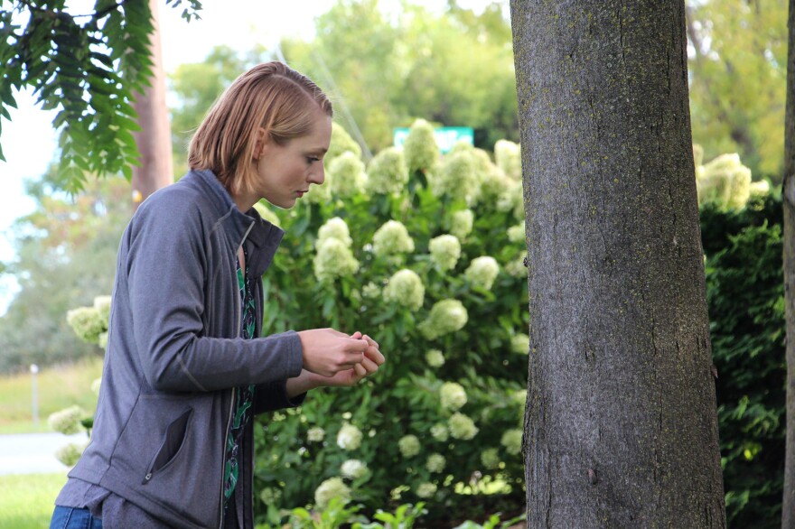 Heather Leach, an entomologist with Penn State University, is assigned to answer lanternfly questions. "All I do is breathe, eat, sleep, lanternflies," she says.