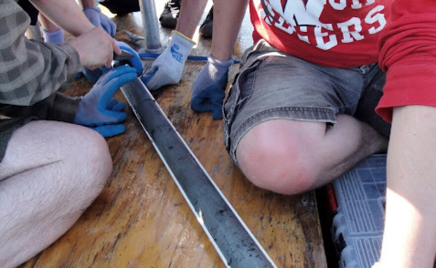 A sediment core extracted from Horseshoe Lake.