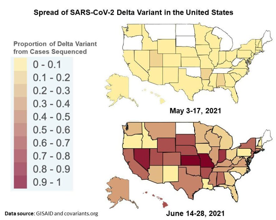 A map of the United States shows the delta variant of COVID-19 has become particularly prevalent in Kansas and Missouri.