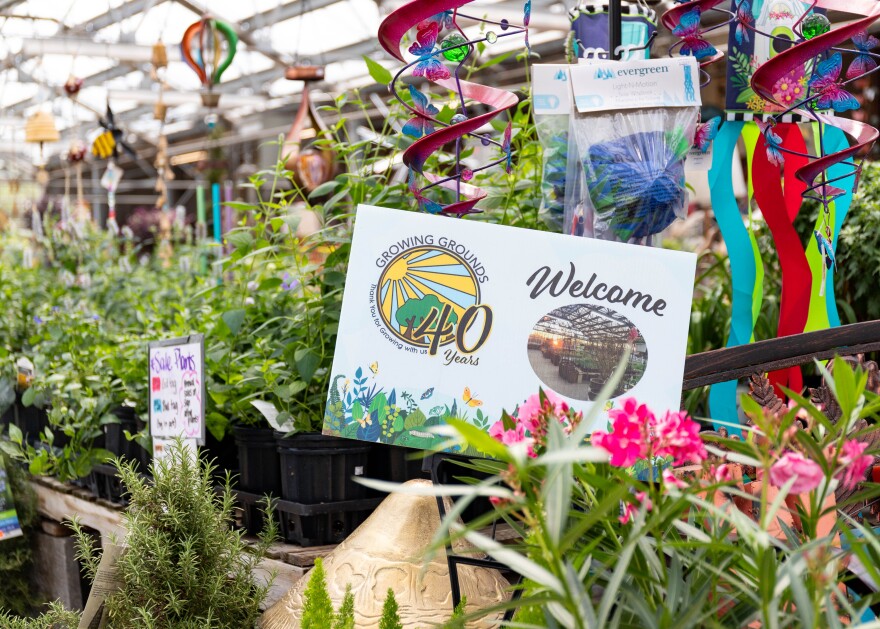 After 40 years in business this year, owner Dale Naffgizer has put Growing Grounds, the garden center at 1610 S. Main Street, up for sale, marking the end of his ownership.