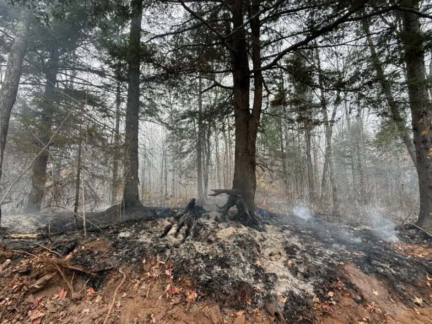 Wildfire damage in Upper Michigan