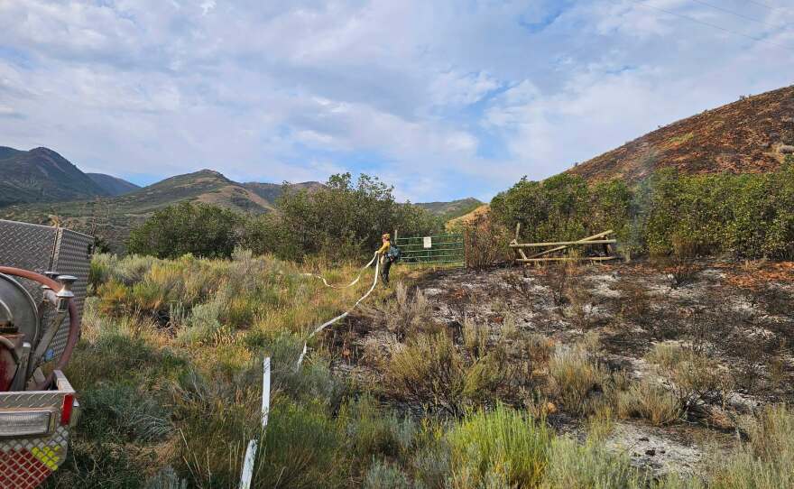 Photos of the Rocky Canyon Fire shared on the morning of Aug. 11, 2026.