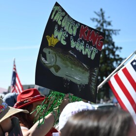 Many protesters in Anchorage on Saturday, June 14, 2025, had signs with fish or crabs on them, saying those are the only kinds of kings they want.