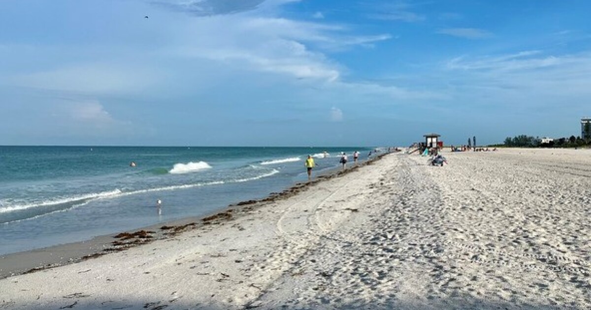 Despite storm-fueling warm waters in the Gulf, other phenomena are suppressing tropical activity
