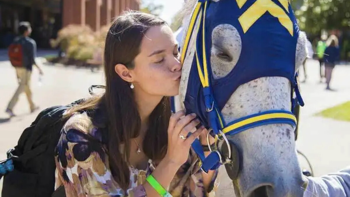 Murray State University regents to explore development of veterinary medicine school - Vimarsana News