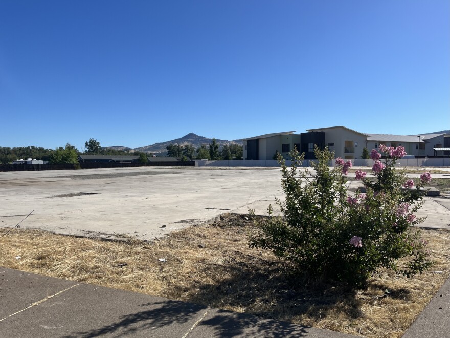 An empty lot is covered with concrete and one flowering bush in the foreground. In the background are apartments and a mountain in the distance. 