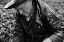 Gordon Patterson