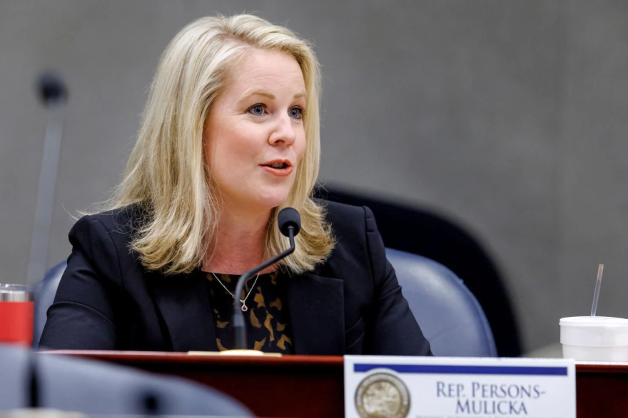 Rep. Jenna Persons-Mulicka, R-Fort Myers, sponsored a bill that could boost "schools of hope."