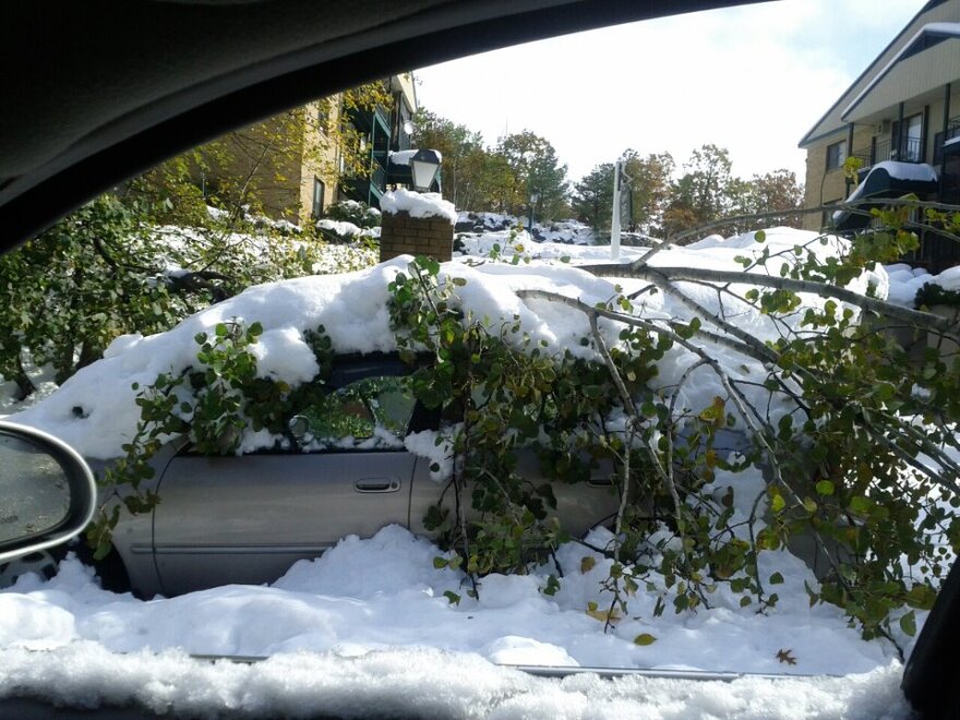 The morning after Snowtober.