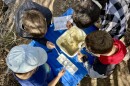 A group of Missoula fifth graders cluster around a bin full of river water — and crawling with invertebrates of all shapes and sizes. The students took stock of the species and numbers and used the data to weigh how healthy the Clark Fork River is.