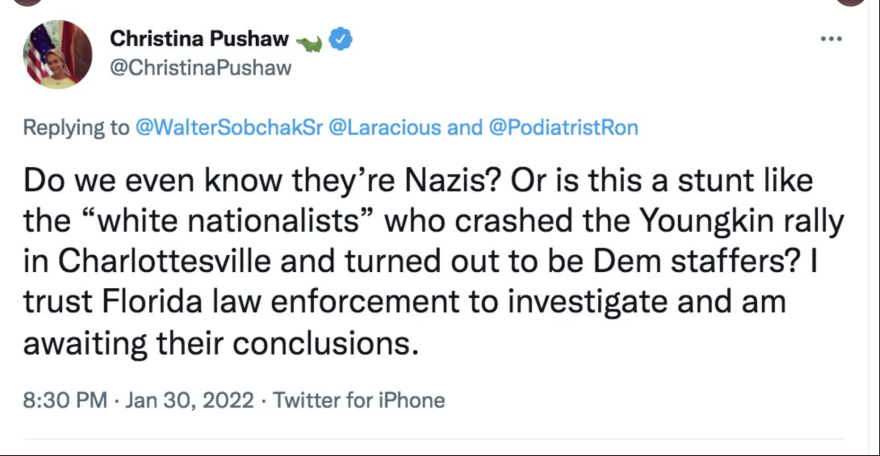 Governor Ron DeSantis' press secretary, Christina Pushaw, was widely criticized for a deleted tweet that downplayed Nazi ragalia at a neo-Nazil rally near Orlando.