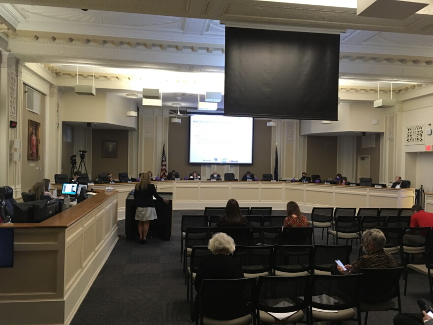 Ashton Potter-Wright before Lexington's budget committee