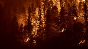 View from night shift operations on 9/1 near Ennis Riffle
